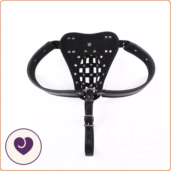 Faux Leather Chastity Belt With Padlock Closure