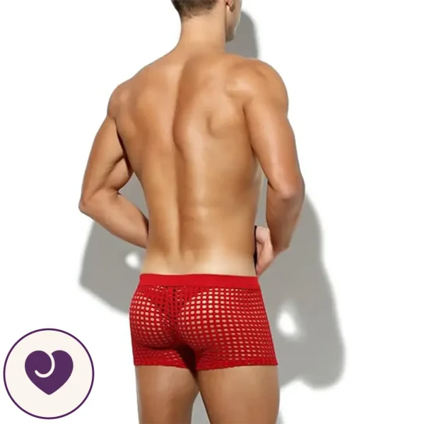 Men's Sheer Red Mesh Lingerie Boxers