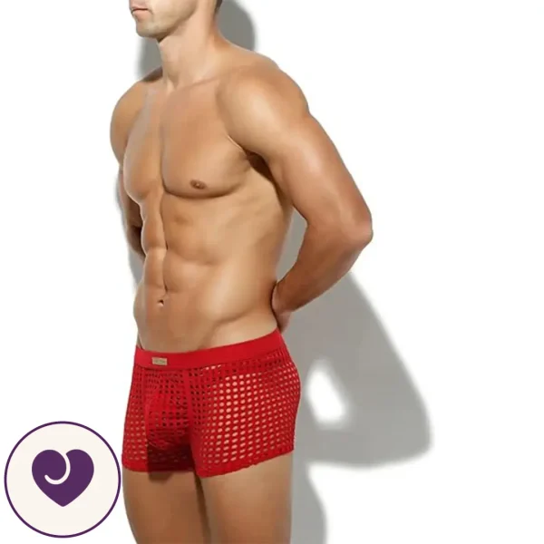 Men's Sheer Red Mesh Lingerie Boxers