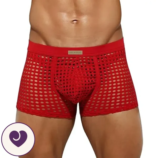 Men's Sheer Red Mesh Lingerie Boxers