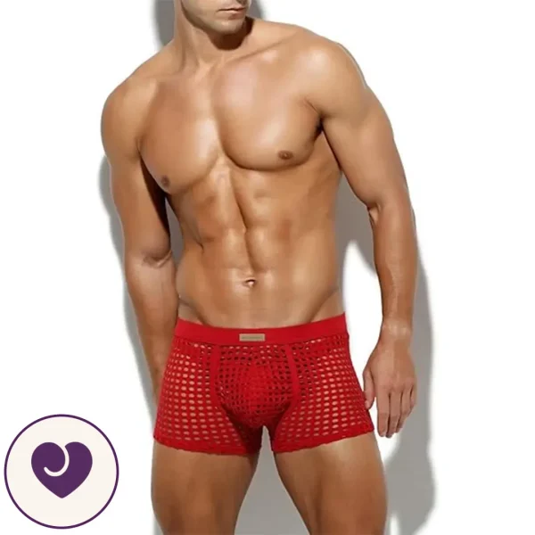 Men's Sheer Red Mesh Lingerie Boxers