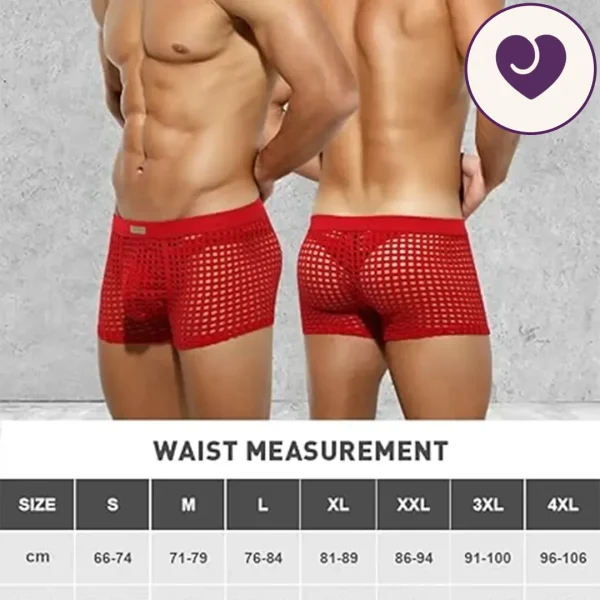 Men's Sheer Red Mesh Lingerie Boxers