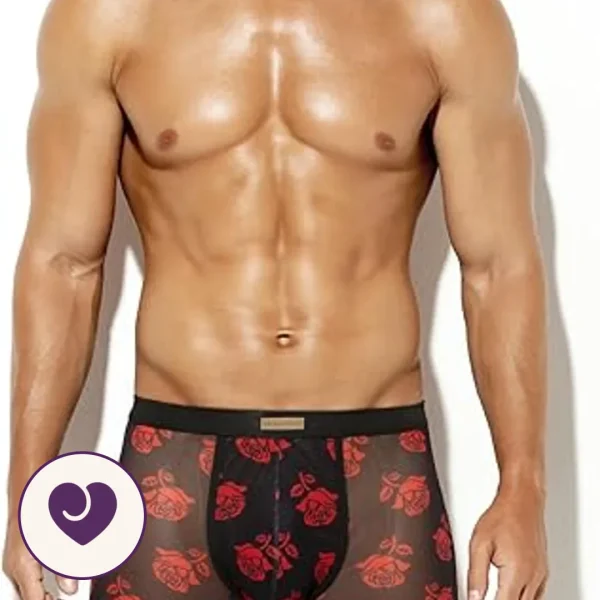 Red Rose Sheer Mesh Boxer Brief for Men