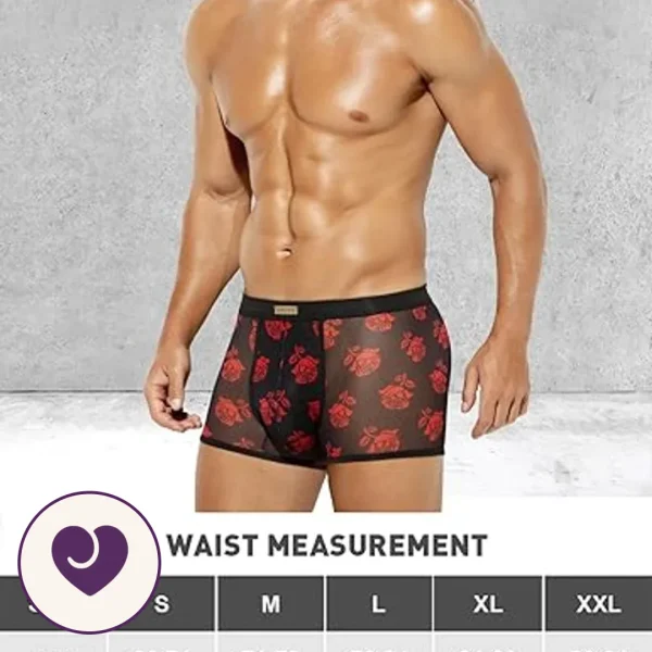 Red Rose Sheer Mesh Boxer Brief for Men